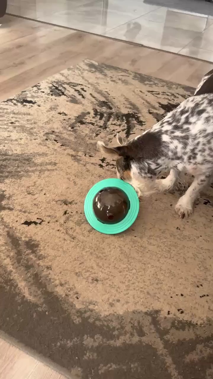 UFO Toy